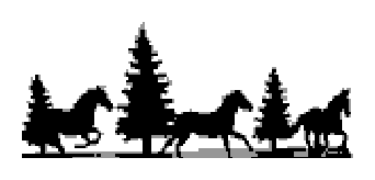 Running Horses 1