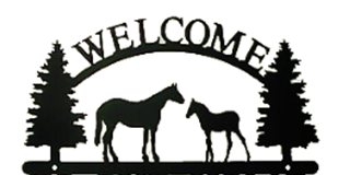 WELCOME HORSE/COLT