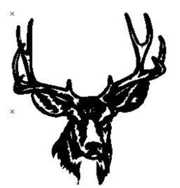 MULE DEER WALL HANGING