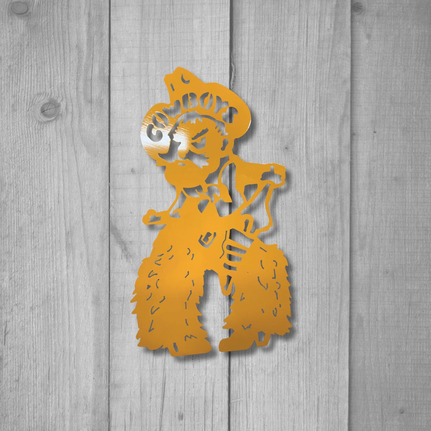 Wyoming Cowboy Joe