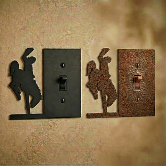 single-switch-side-electrical-cover-wyoming-life.png