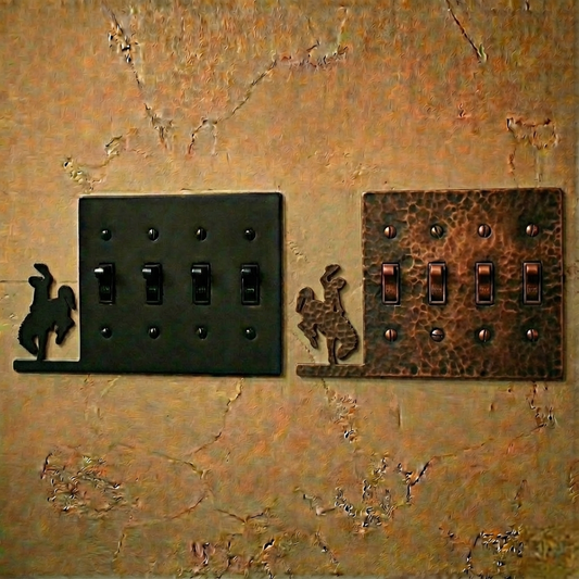 quad-switch-side-electrical-cover-wyoming-life.png