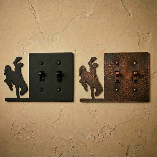 double-switch-side-electrical-cover-wyoming-life.png