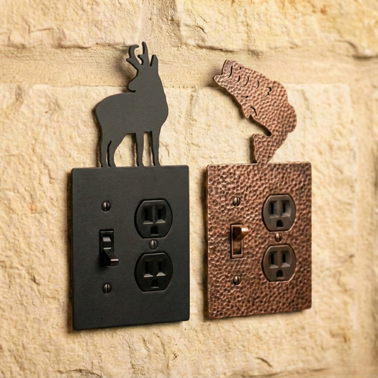 single-switch-with-outlet-electrical-cover-outdoors-and-wildlife.png