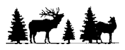 Bull Elk 6