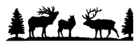 Bull Elk 7