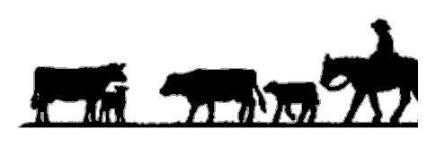 Cow & Calf 2