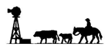 Cow & Calf