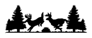 Jumping Whitetail