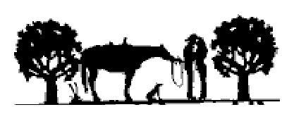 Lovers w/ Horse