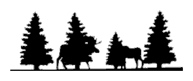 Moose Family