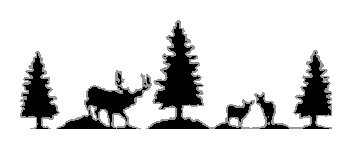 Mule Deer Downhill