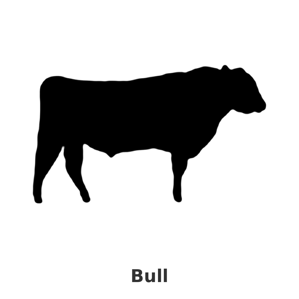Bull design silhouette – Arched Welcome Sign (photo coming soon)