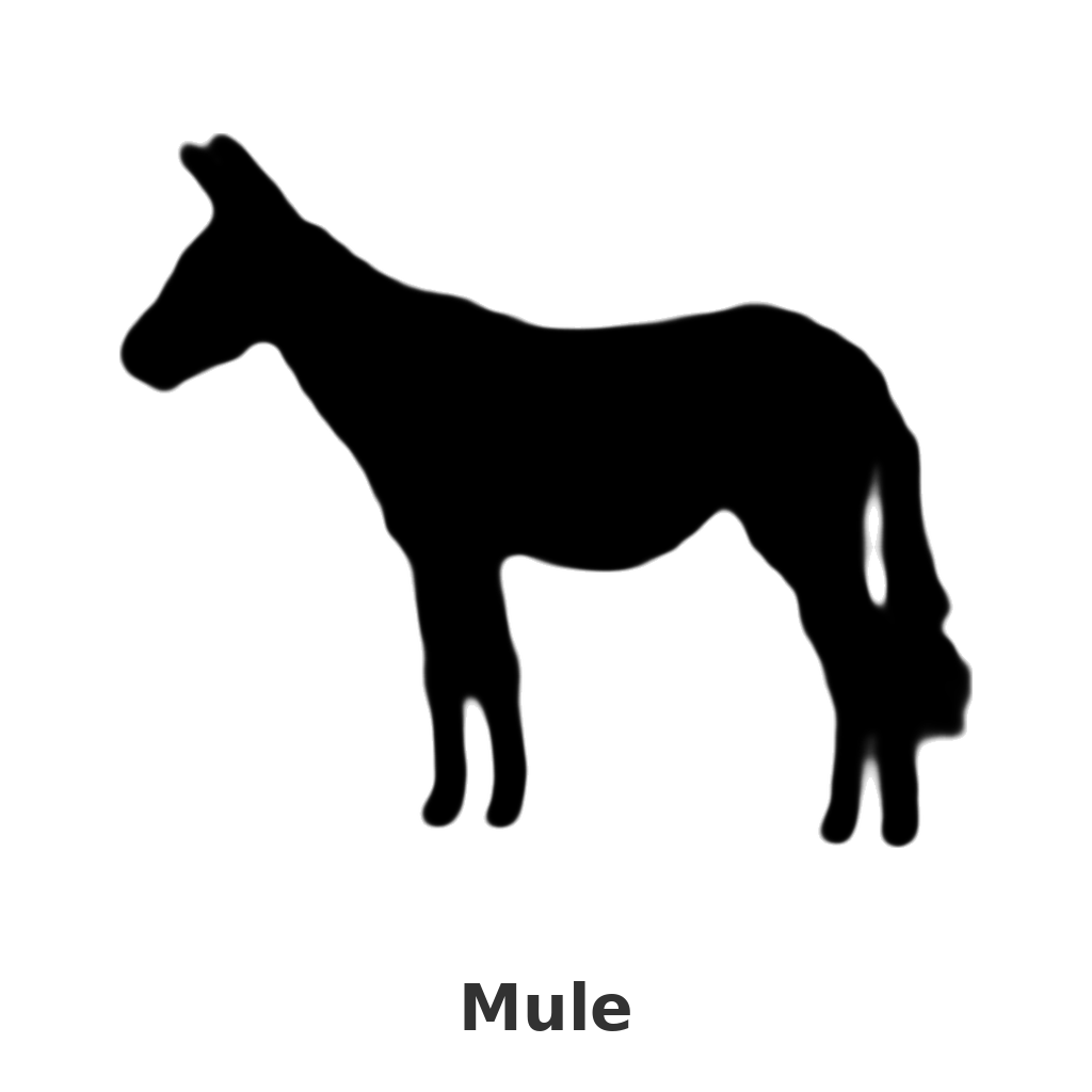 Mule design silhouette – Arched Welcome Sign (photo coming soon)